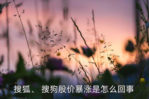 搜狐、 搜狗股價(jià)暴漲是怎么回事