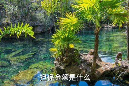  擔保金額是什么