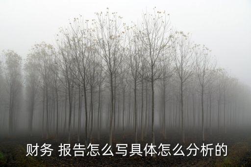 蘇寧云商集團(tuán)股份有限公司財(cái)務(wù)會計(jì)報(bào)告分析