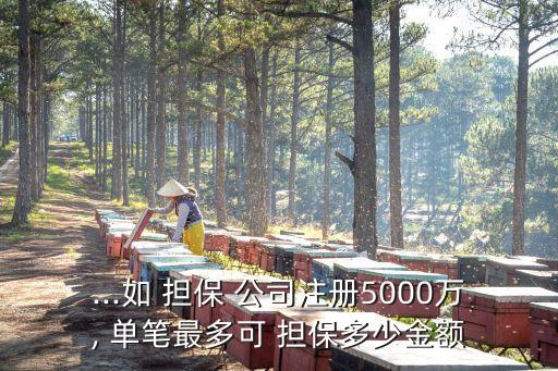 ...如 擔保 公司注冊5000萬, 單筆最多可 擔保多少金額