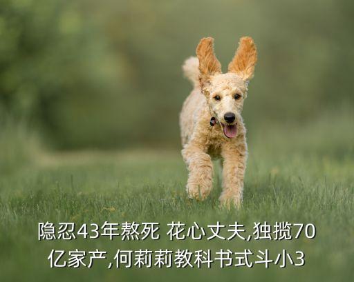 隱忍43年熬死 花心丈夫,獨攬70億家產,何莉莉教科書式斗小3