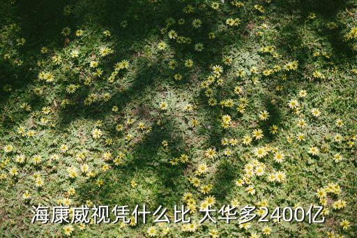 ?？低晳{什么比 大華多2400億