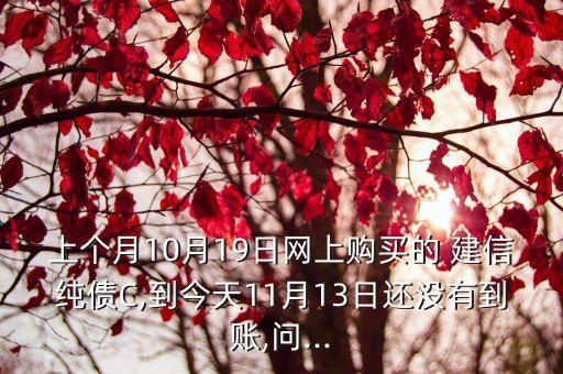 上個(gè)月10月19日網(wǎng)上購(gòu)買(mǎi)的 建信純債C,到今天11月13日還沒(méi)有到賬,問(wèn)...
