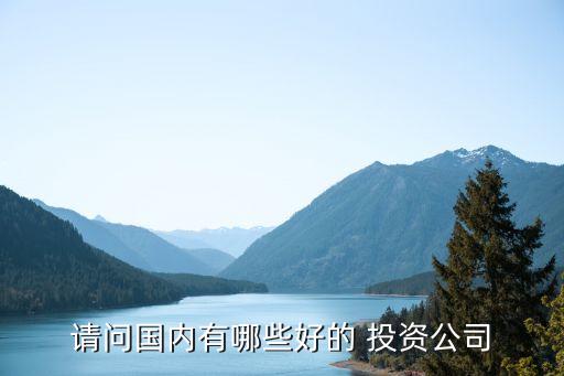 請(qǐng)問國(guó)內(nèi)有哪些好的 投資公司