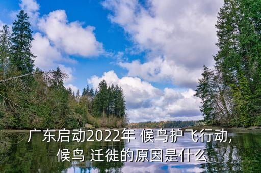 廣東啟動(dòng)2022年 候鳥(niǎo)護(hù)飛行動(dòng), 候鳥(niǎo) 遷徙的原因是什么
