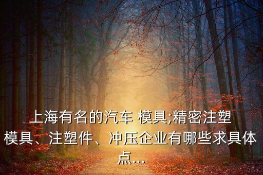  上海有名的汽車 模具;精密注塑 模具、注塑件、沖壓企業(yè)有哪些求具體點(diǎn)...