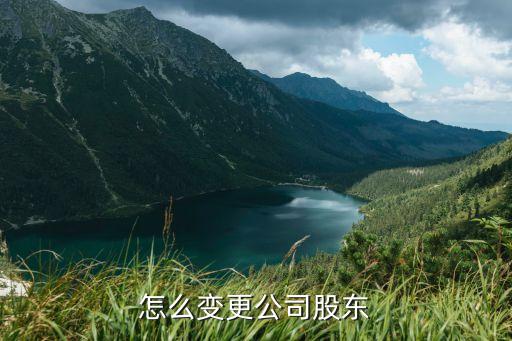 分公司轉讓協(xié)議,電動車轉讓協(xié)議