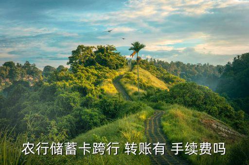 農行儲蓄卡跨行 轉賬有 手續(xù)費嗎