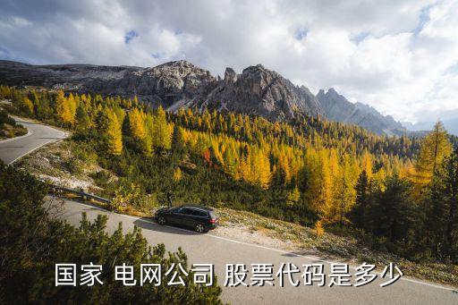 電網類股票,國家電網上市公司股票