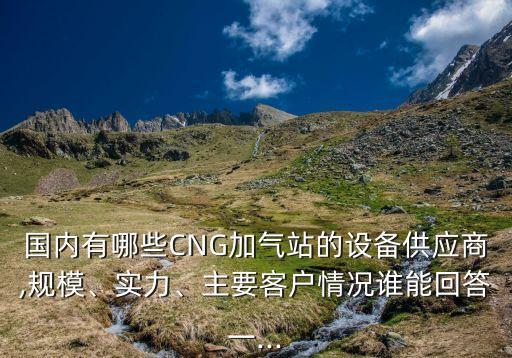 國內有哪些CNG加氣站的設備供應商,規(guī)模、實力、主要客戶情況誰能回答一...