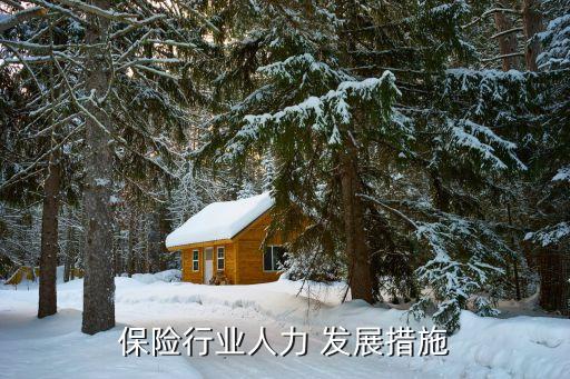 保險(xiǎn)公司發(fā)展對策,低利率保險(xiǎn)公司對策