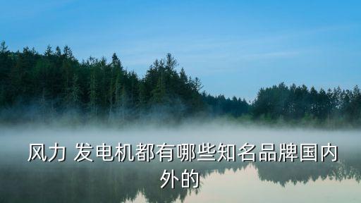  風力 發(fā)電機都有哪些知名品牌國內(nèi)外的