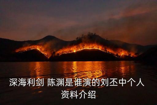深海利劍 陳淵是誰演的劉丕中個(gè)人 資料介紹