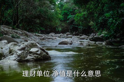匯添焦點(diǎn)基金凈值,天富焦點(diǎn)基金凈值今日價格