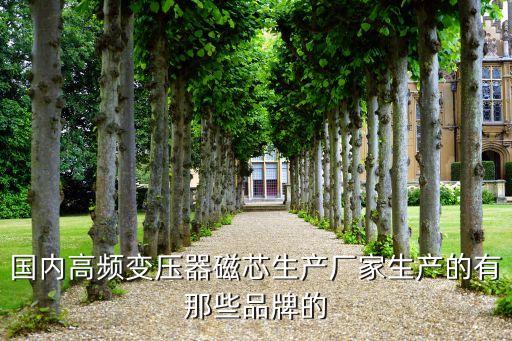 精業(yè)電子股份有限公司,三笠精業(yè)股份有限公司在哪個(gè)國家