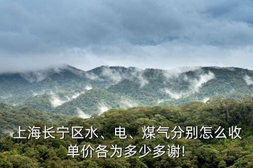  上海長寧區(qū)水、電、煤氣分別怎么收單價(jià)各為多少多謝!