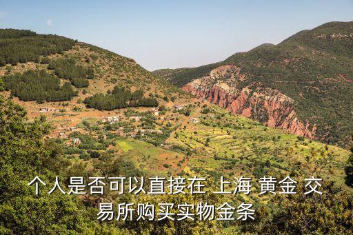 個人是否可以直接在 上海 黃金 交易所購買實(shí)物金條
