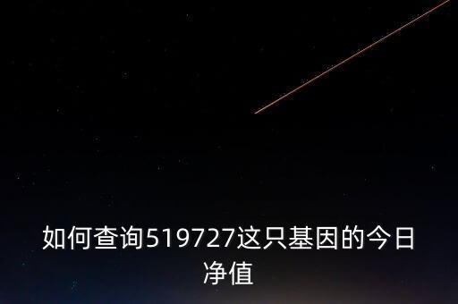 交銀施羅德成長(zhǎng)基金