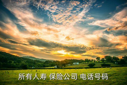 保險(xiǎn)公司排名電話,中國保險(xiǎn)公司十大排名