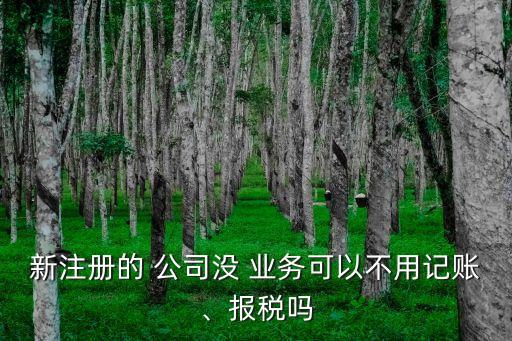新注冊(cè)的 公司沒 業(yè)務(wù)可以不用記賬、報(bào)稅嗎