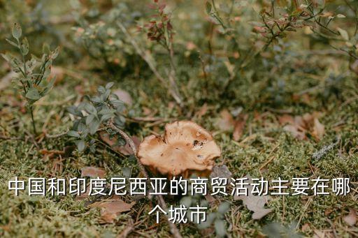 中國和印度尼西亞的商貿(mào)活動(dòng)主要在哪個(gè)城市