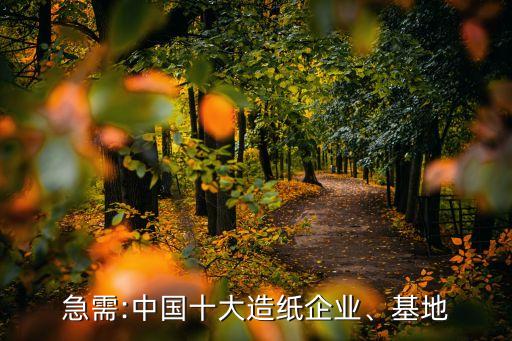 急需:中國十大造紙企業(yè)、基地