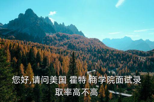 您好,請(qǐng)問美國 霍特 商學(xué)院面試錄取率高不高