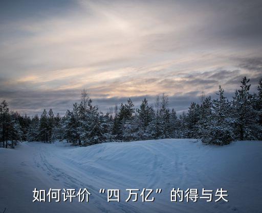 如何評價(jià)“四 萬億”的得與失