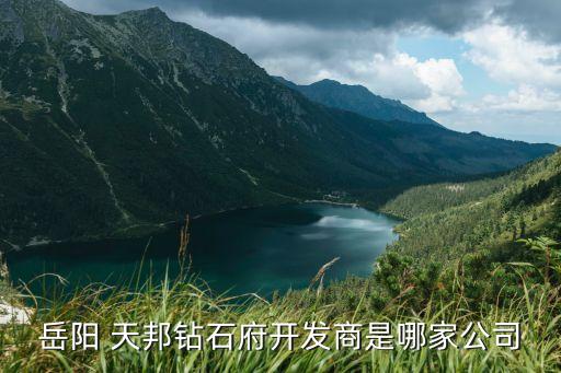 岳陽(yáng) 天邦鉆石府開(kāi)發(fā)商是哪家公司