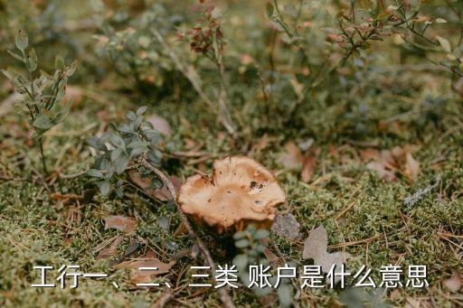 工行一、二、三類 賬戶是什么意思