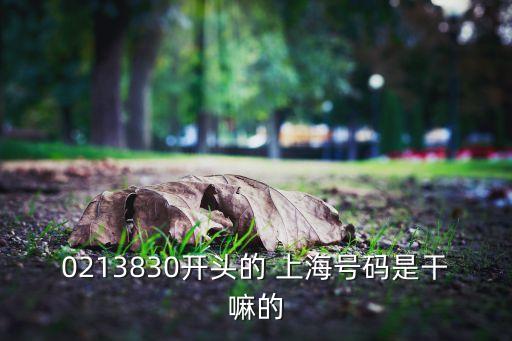 中國電信上海自貿區(qū)分公司