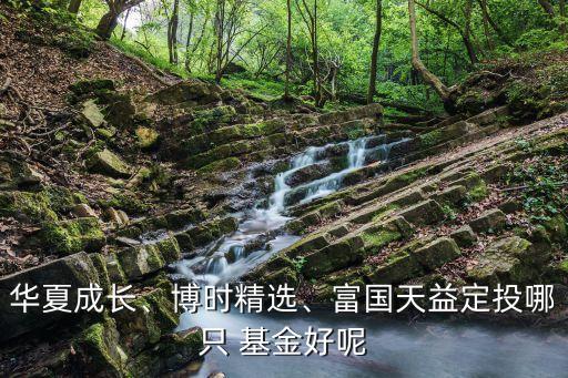 華夏成長、博時精選、富國天益定投哪只 基金好呢