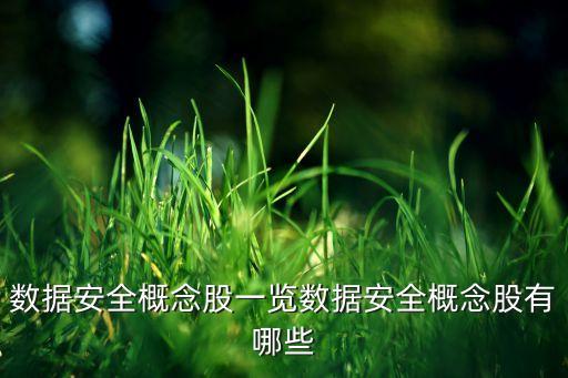 數據安全概念股一覽數據安全概念股有哪些