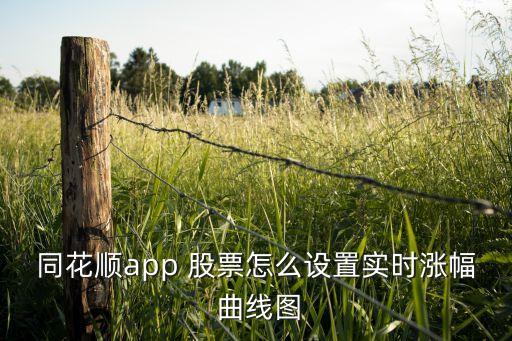 在線(xiàn)股票資產(chǎn)動(dòng)態(tài)曲線(xiàn)圖