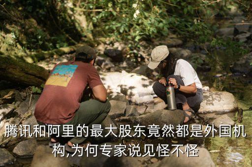 中國互聯(lián)網外資,互聯(lián)網和外資企業(yè)哪個好