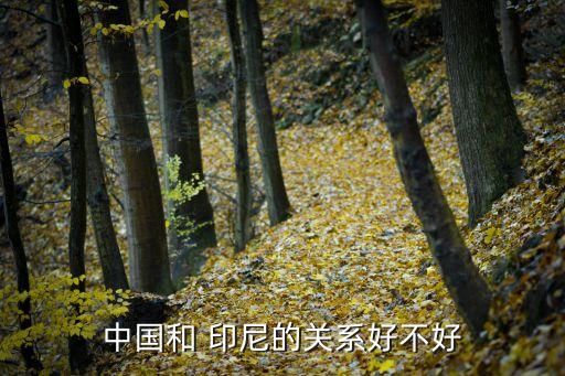 中國對印尼貿(mào)易,中國印尼貿(mào)易博覽會(huì)2023