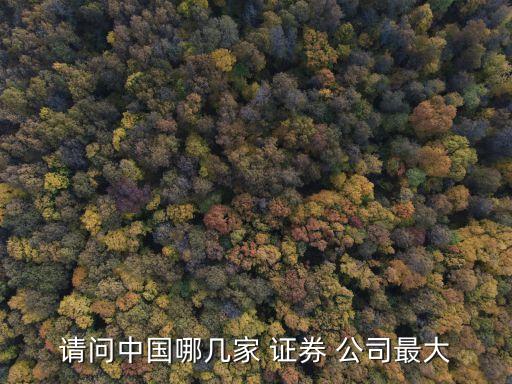 請(qǐng)問(wèn)中國(guó)哪幾家 證券 公司最大