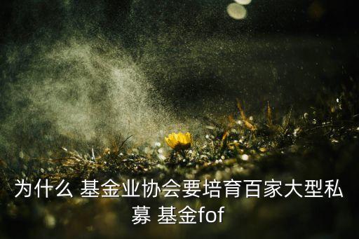 為什么 基金業(yè)協會要培育百家大型私募 基金fof