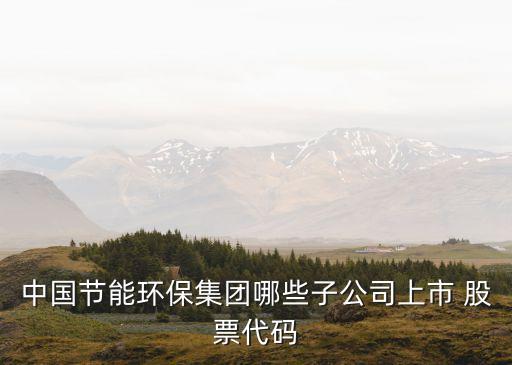 中國(guó)節(jié)能環(huán)保集團(tuán)哪些子公司上市 股票代碼