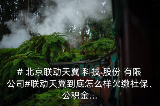 # 北京聯(lián)動天翼 科技 股份 有限公司#聯(lián)動天翼到底怎么樣欠繳社保、公積金...