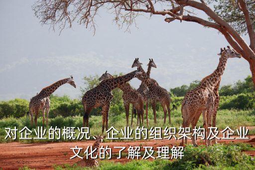 對(duì)企業(yè)的概況、企業(yè)的組織架構(gòu)及企業(yè)文化的了解及理解