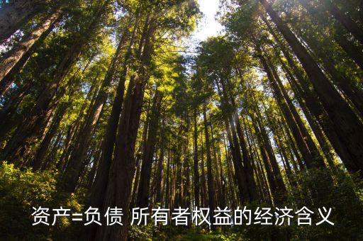  資產(chǎn)=負(fù)債 所有者權(quán)益的經(jīng)濟含義