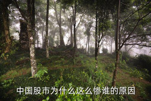 中國(guó)股市為什么這么慘誰的原因