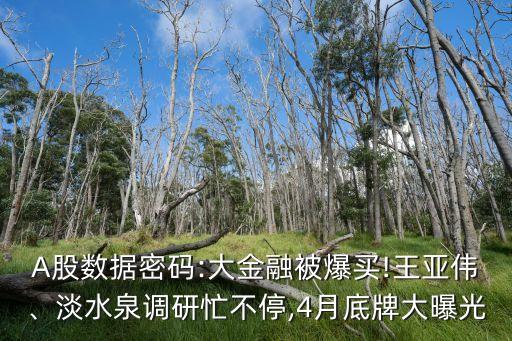 A股數(shù)據(jù)密碼:大金融被爆買!王亞偉、淡水泉調(diào)研忙不停,4月底牌大曝光