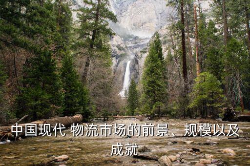 中國(guó)現(xiàn)代 物流市場(chǎng)的前景、規(guī)模以及成就