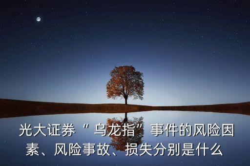  光大證券“ 烏龍指”事件的風(fēng)險因素、風(fēng)險事故、損失分別是什么