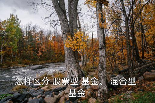 怎樣區(qū)分 股票型 基金、 混合型 基金