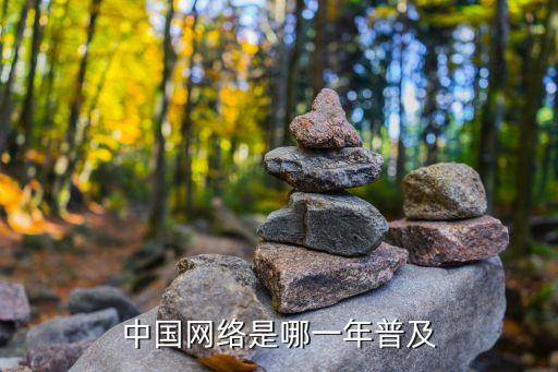 中國網(wǎng)絡是哪一年普及