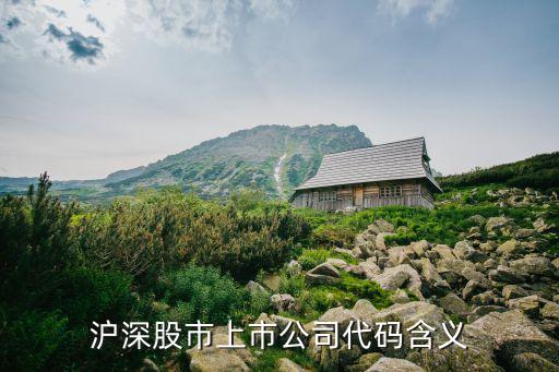 上海滬深企業(yè)集團