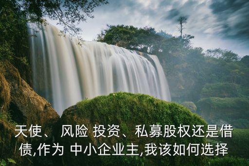 天使、 風(fēng)險(xiǎn) 投資、私募股權(quán)還是借債,作為 中小企業(yè)主,我該如何選擇